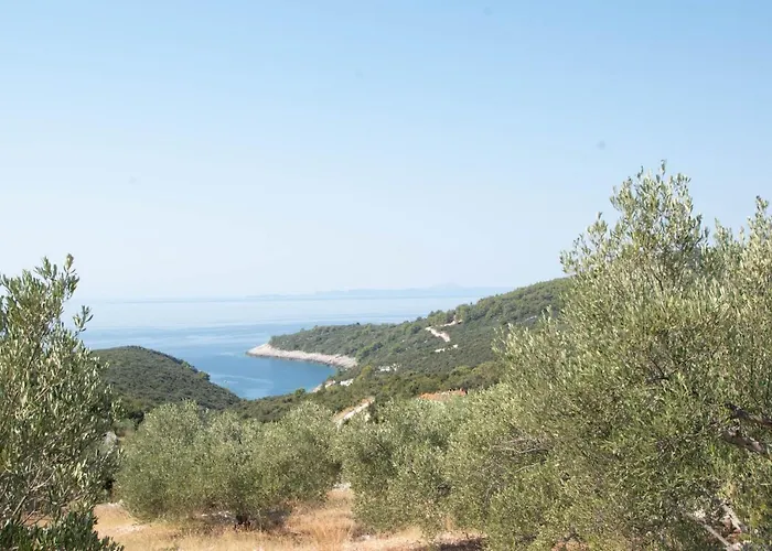 Secluded House With A Parking Space Cove Rasohatica, Korcula - 16651 Casa vacanze