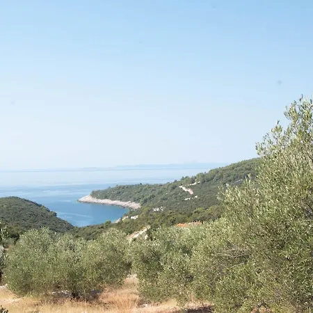 Secluded House With A Parking Space Cove Rasohatica, Korcula - 16651 בית נופש
